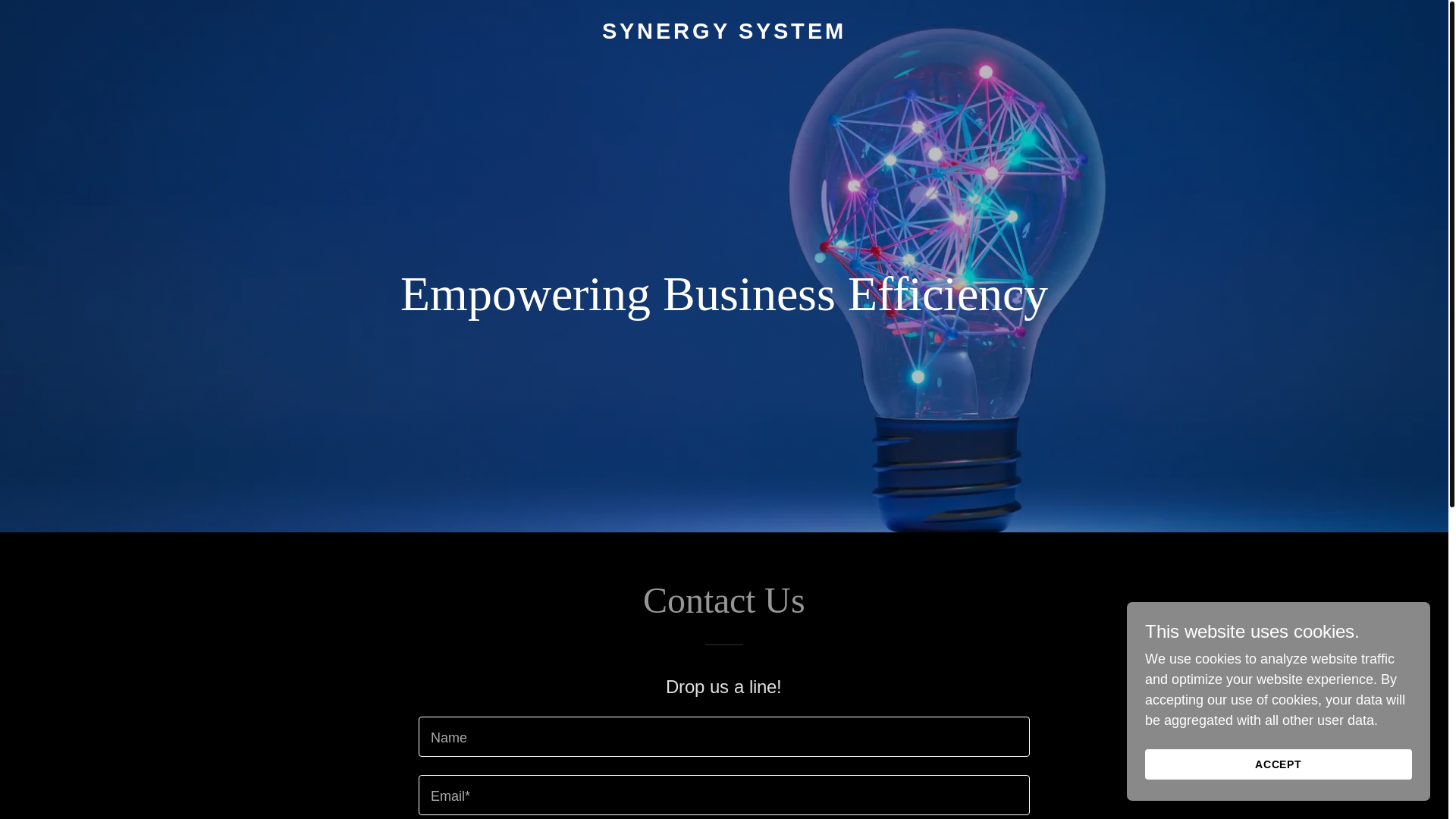 website screenshot of https://synergysystem.com.au/