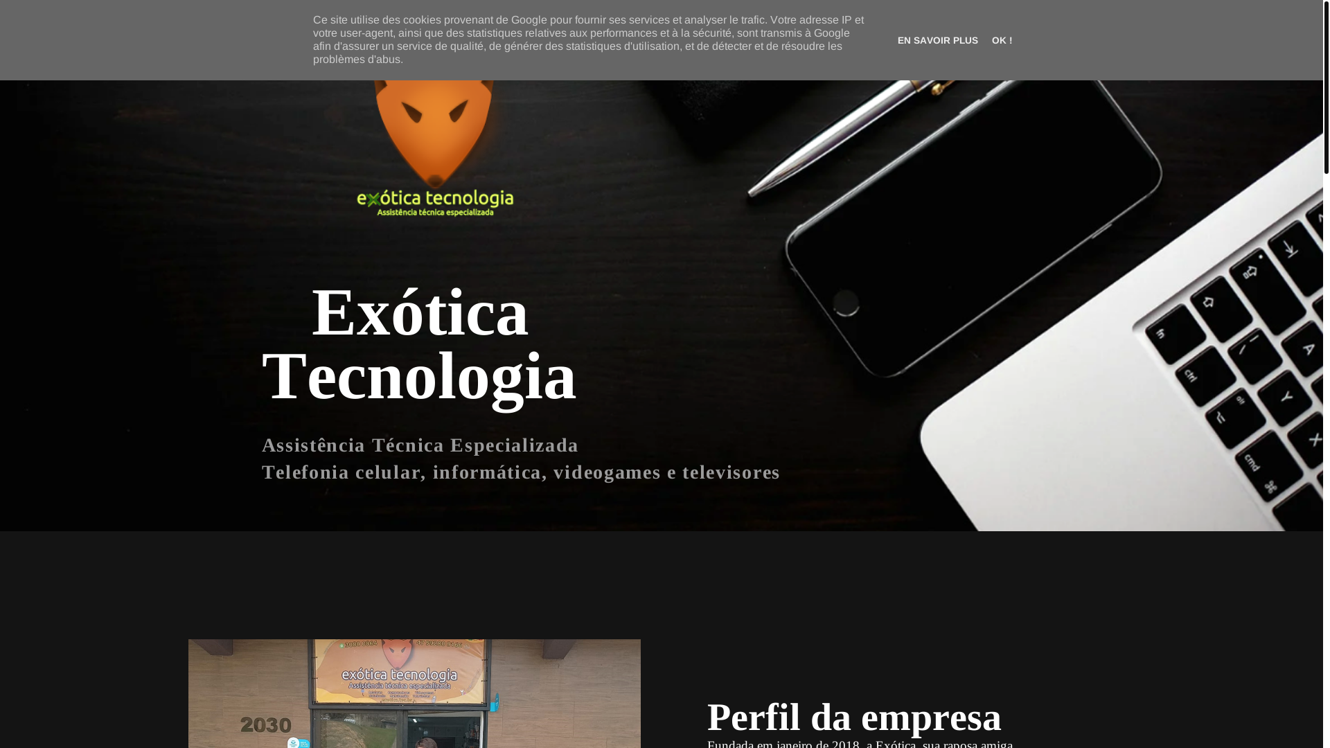 website screenshot of https://exoticatecnologia.com.br/