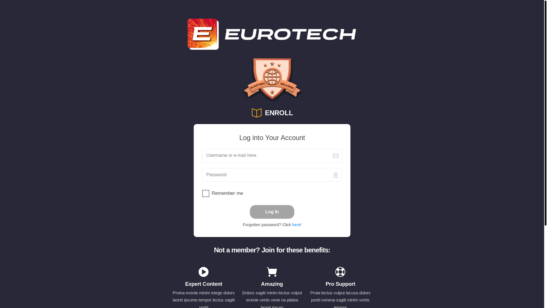 website screenshot of https://eurotechcollege.com/