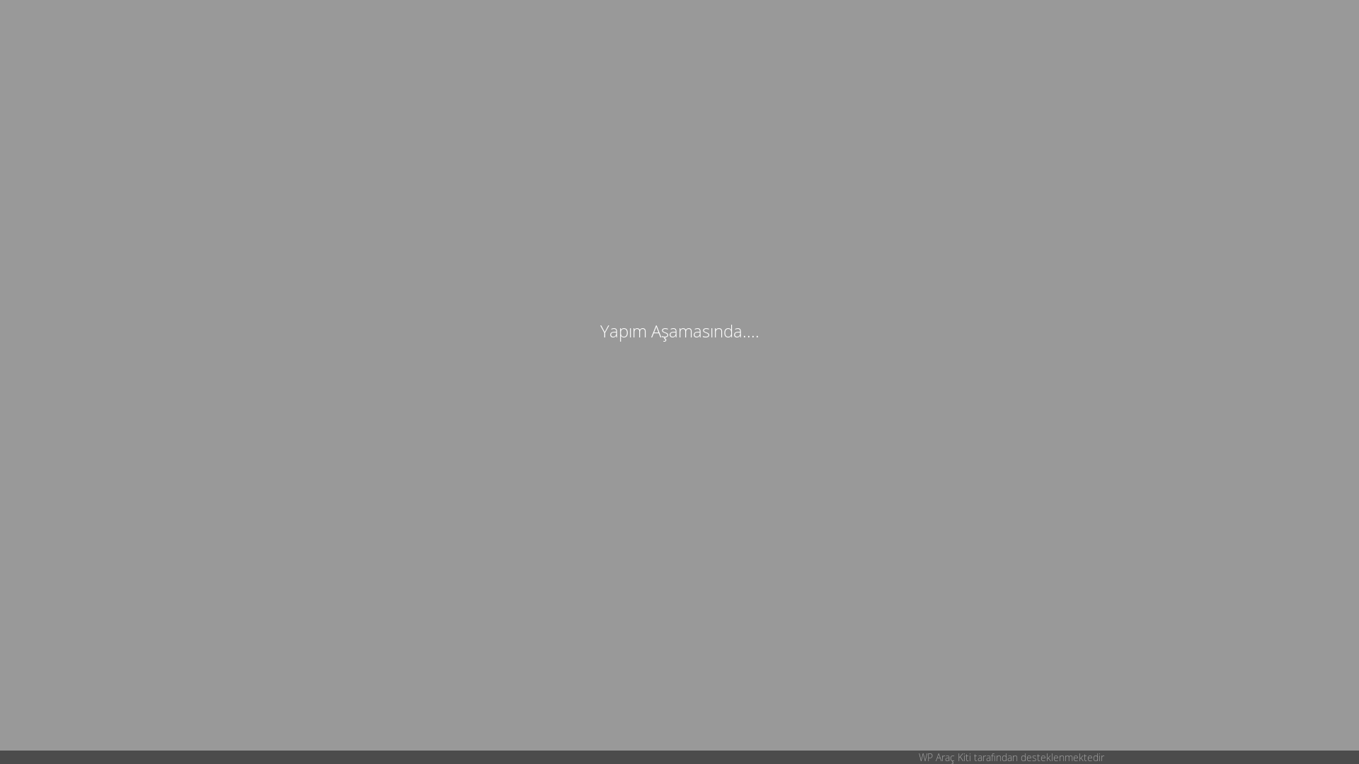 website screenshot of https://mertekyapi.com.tr/