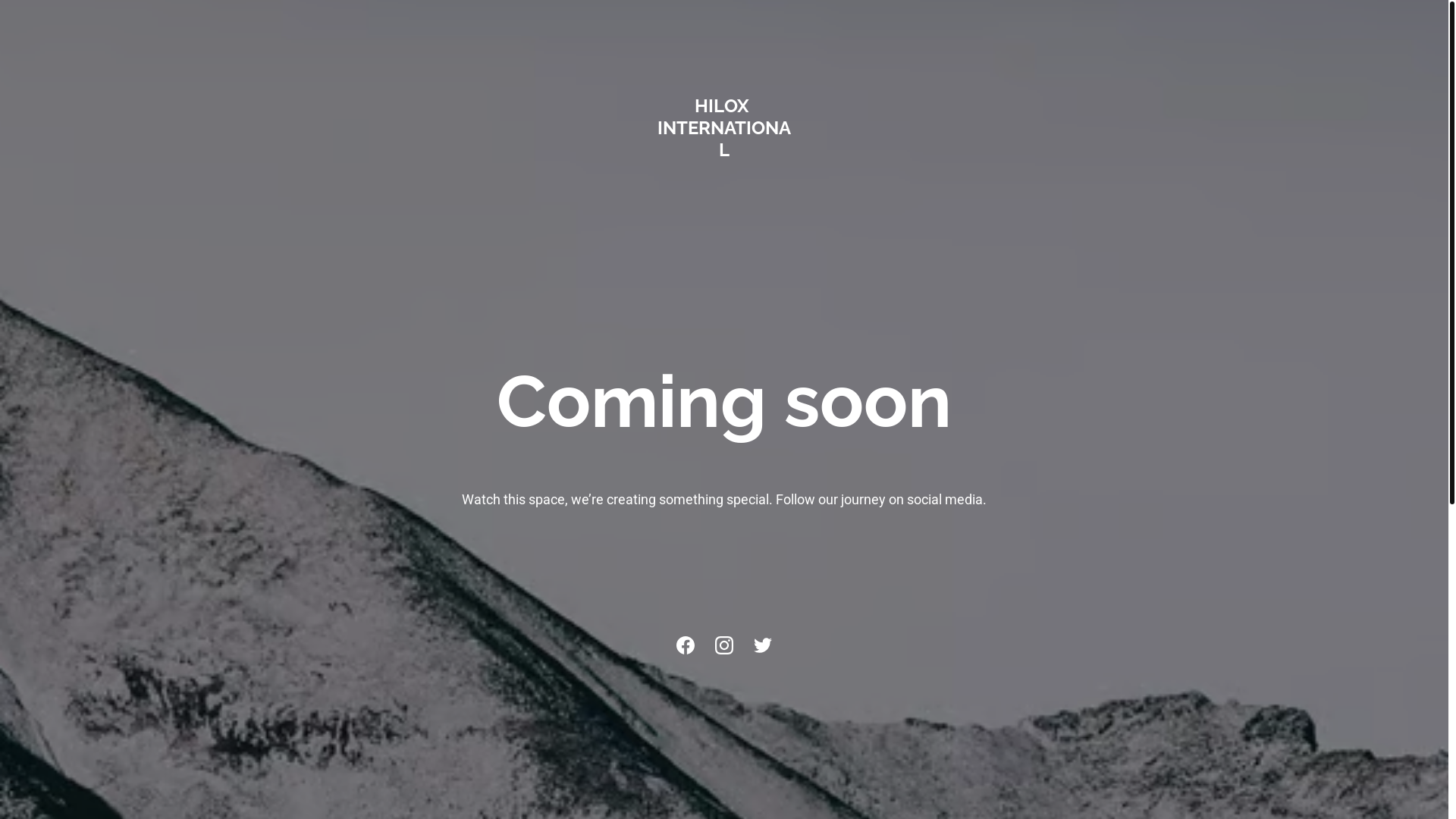 website screenshot of https://hiloxinternational.com/