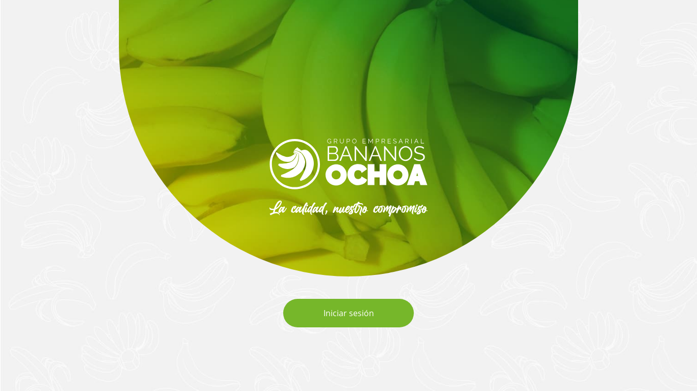 website screenshot of https://bodegapps.pages.dev/