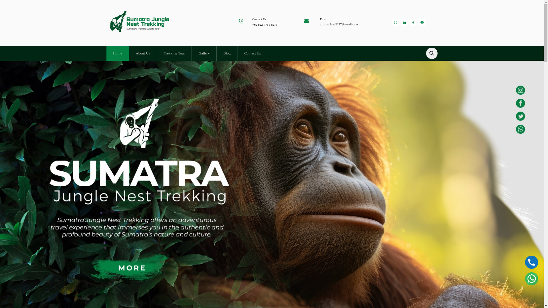 website screenshot of https://sumaterajunglenesttrekking.com/