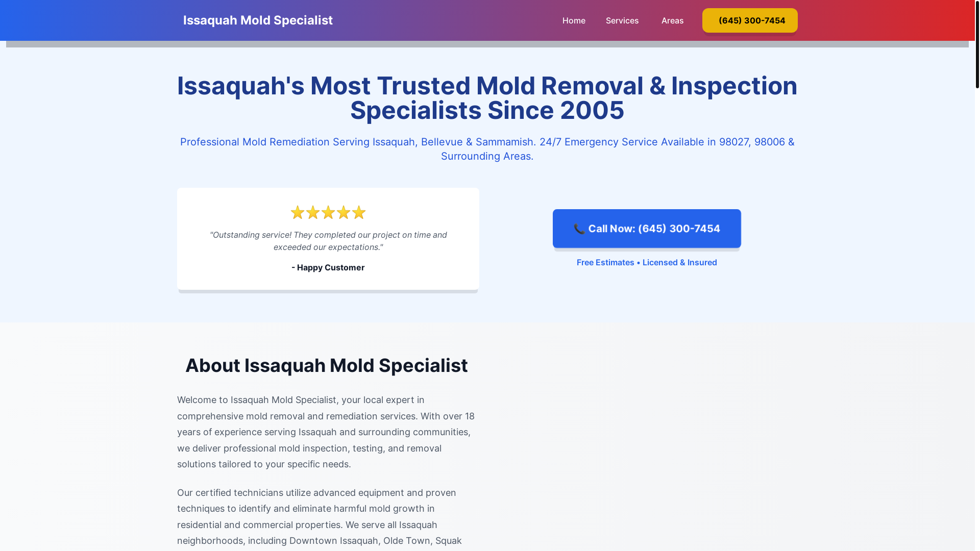 website screenshot of https://mold-inspection-issaquah-wa.pages.dev/