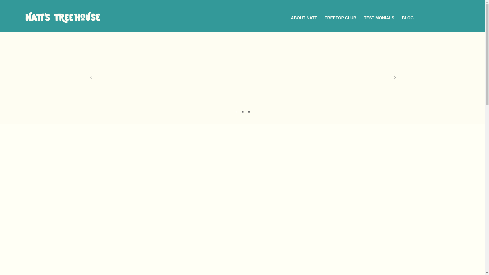 website screenshot of https://weddingbabysitternyc.com/