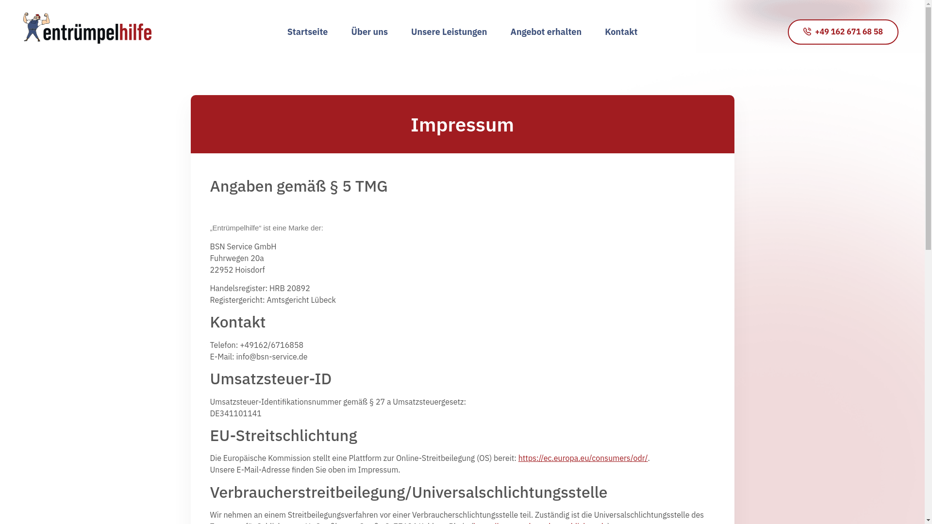 website screenshot of https://bsn-service-gmbh.de/