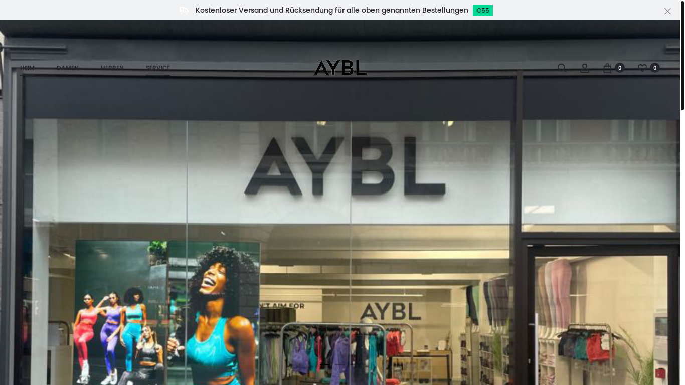 website screenshot of https://www.aybl.com.de/