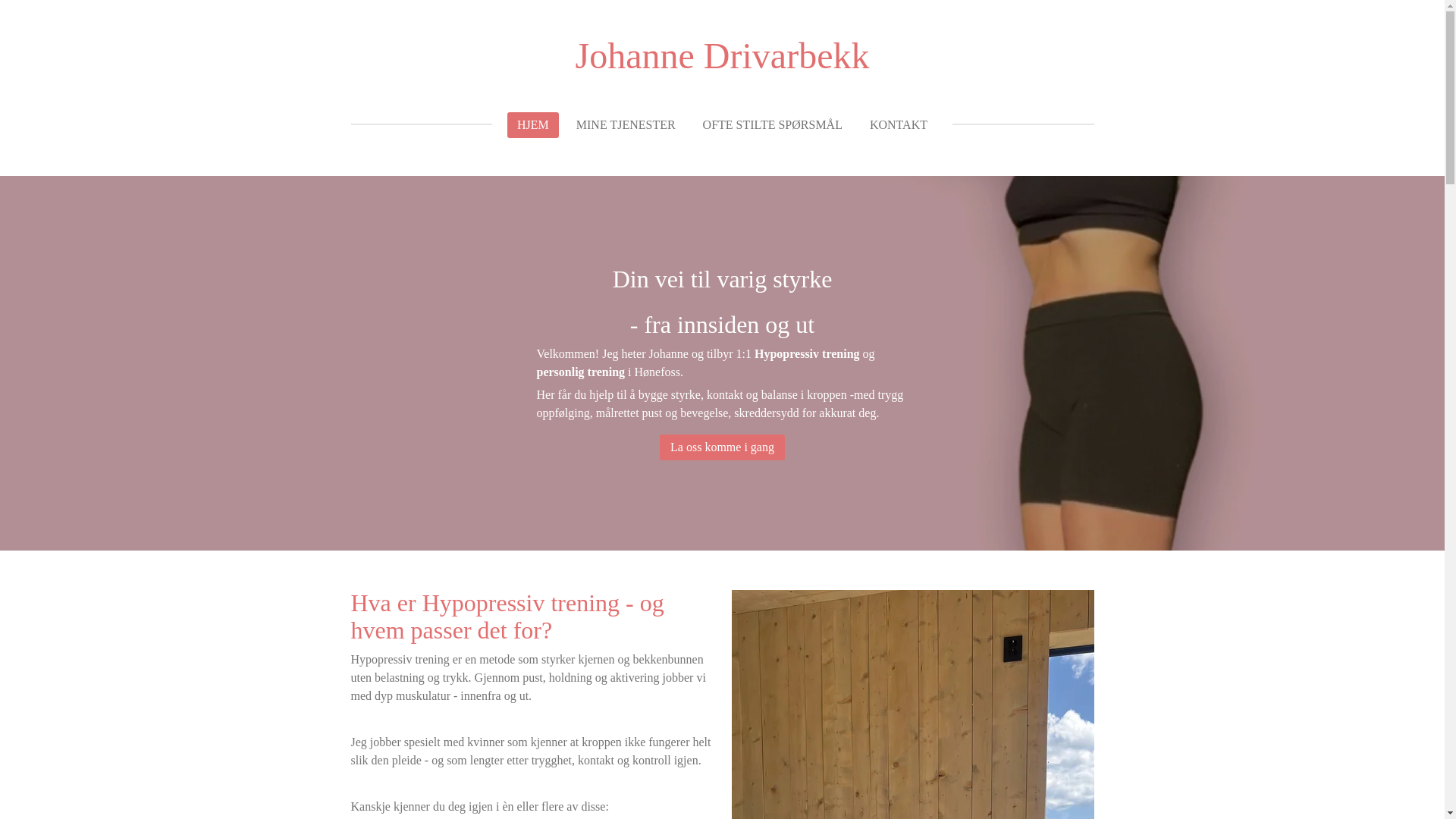 website screenshot of https://johannedrivarbekk.com/