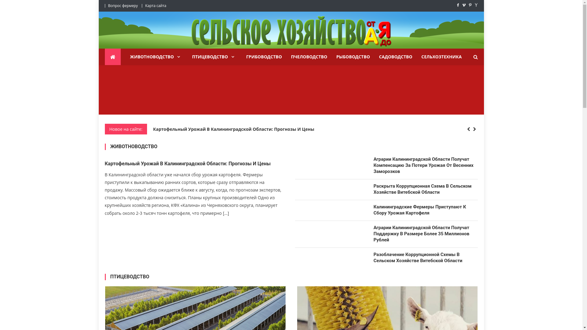 website screenshot of https://selskoehozjajstvo.ru/
