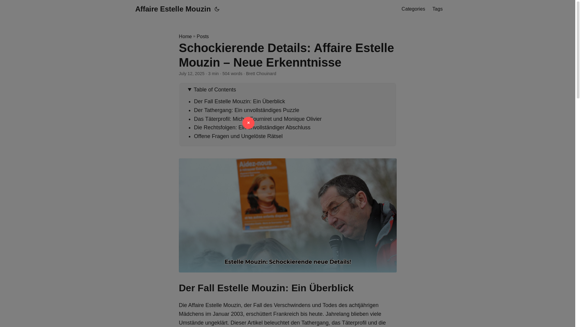 website screenshot of https://affaire-estelle-mouzin.pages.dev/