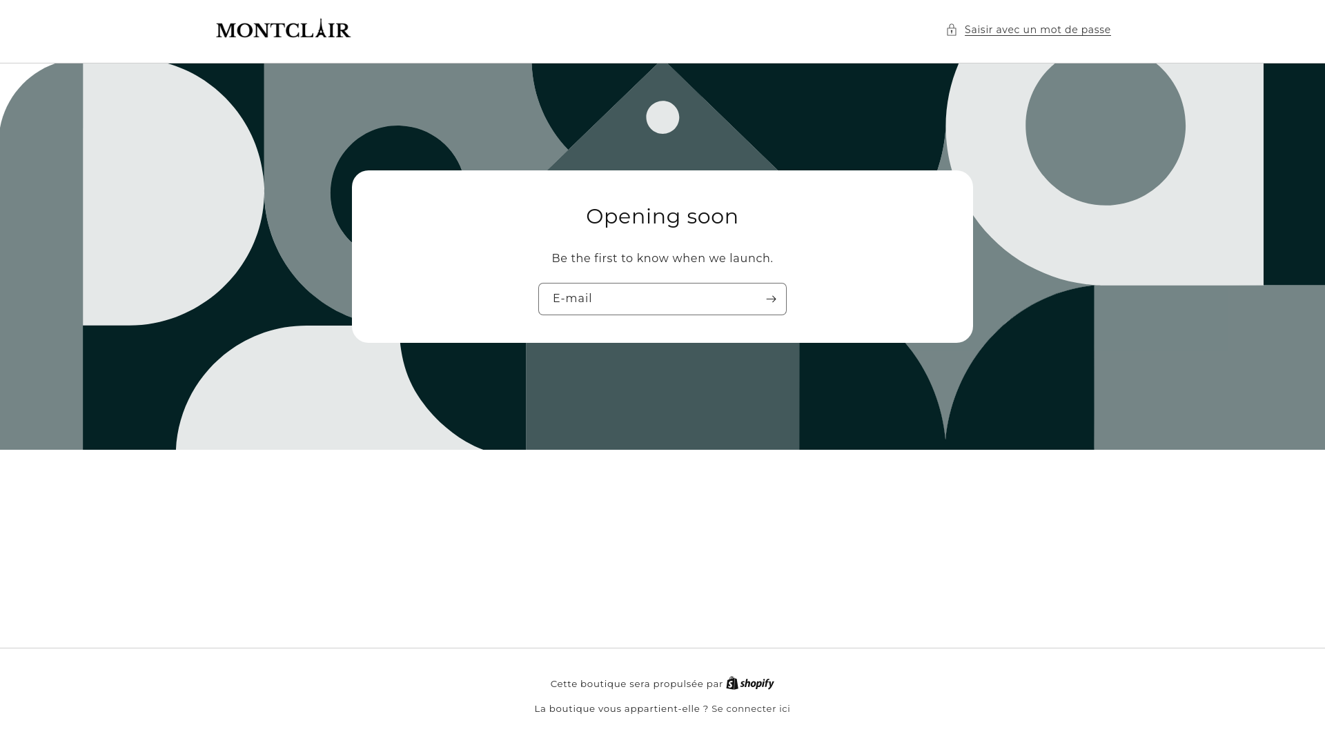 website screenshot of https://montclairparis.fr/