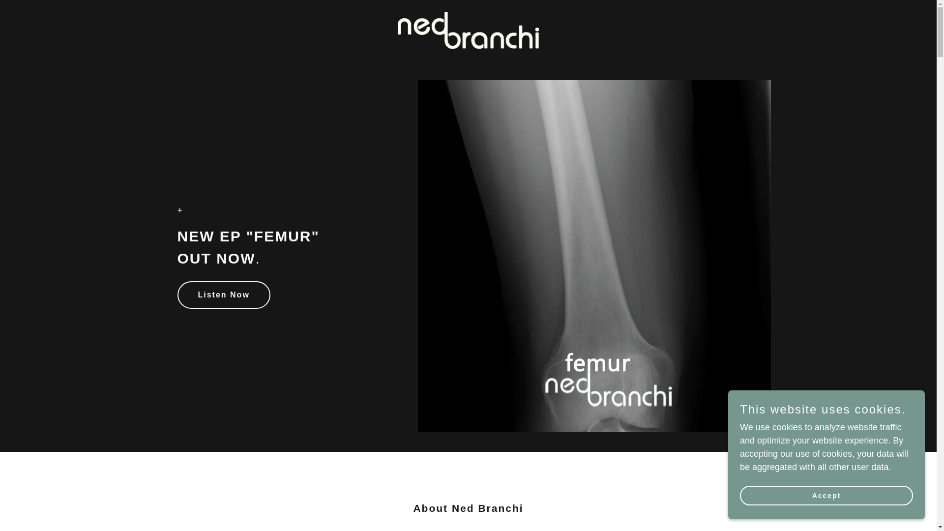 website screenshot of https://nedbranchiband.com/