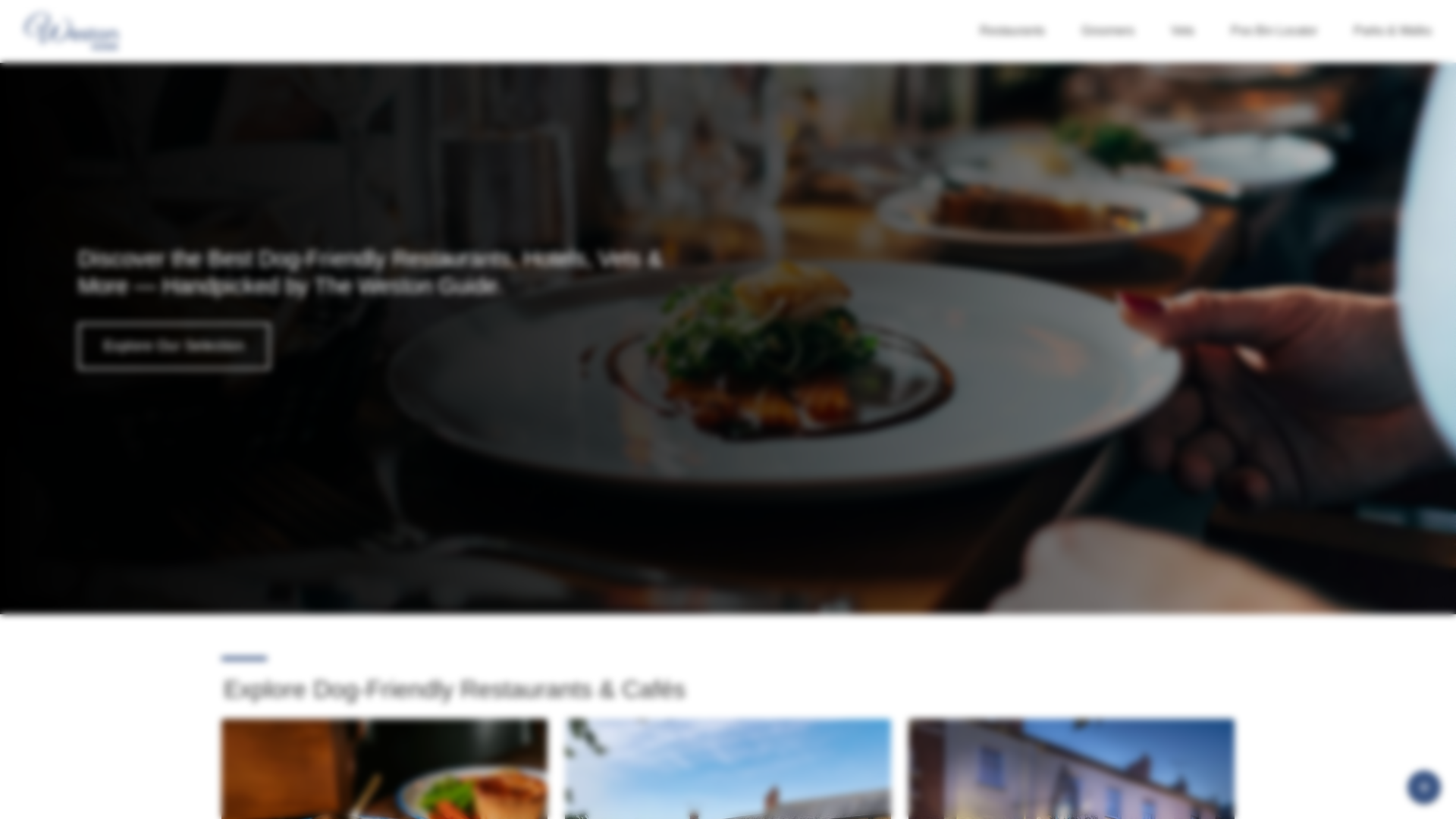 website screenshot of https://images-thewestonguide-com.pages.dev/