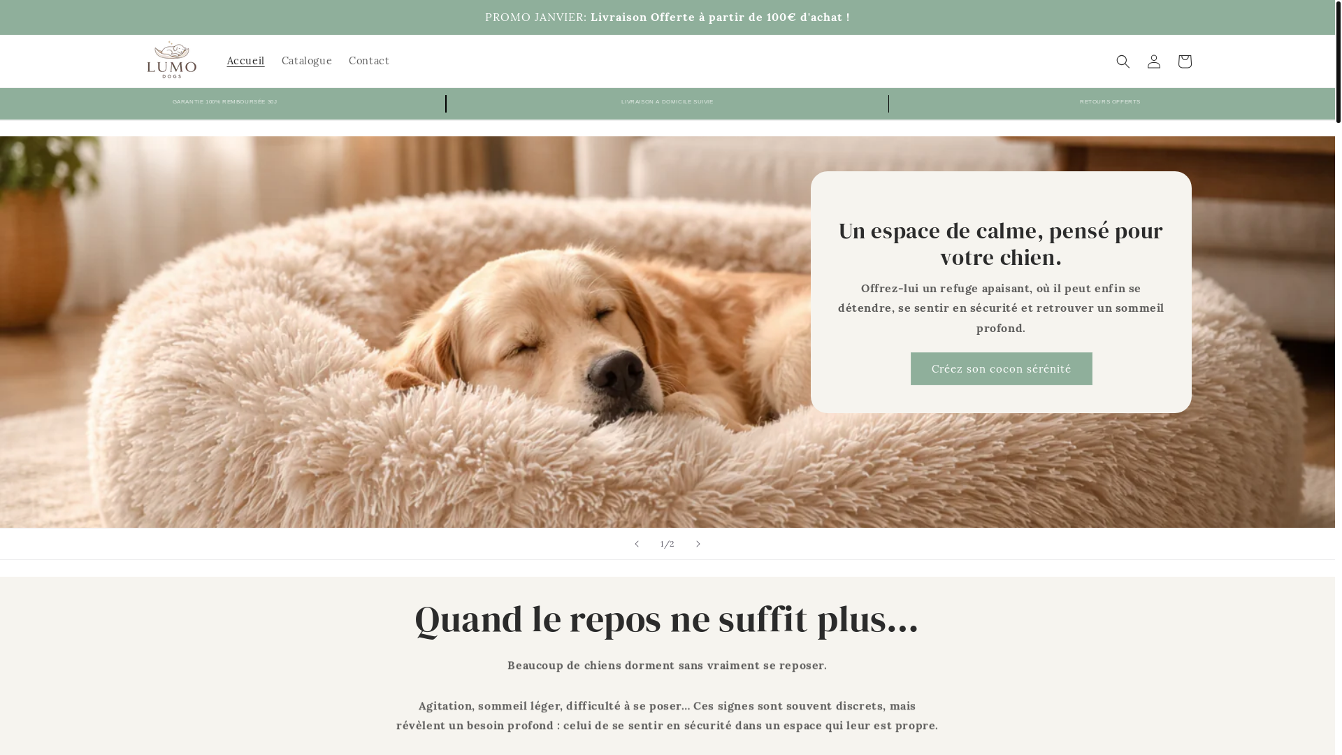 website screenshot of https://lumo-dogs.com/