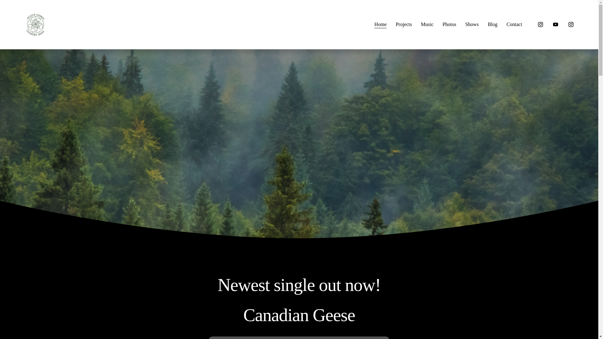 website screenshot of https://kylescosmiccountryband.com/
