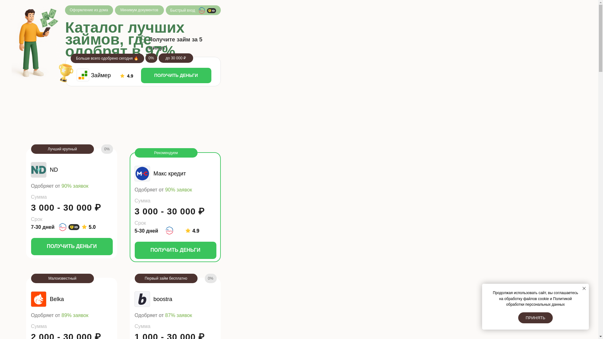 website screenshot of https://ficron-zaimika.ru/
