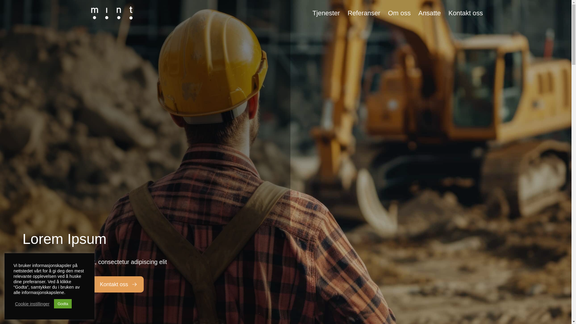 website screenshot of https://lorentsenservice.no/
