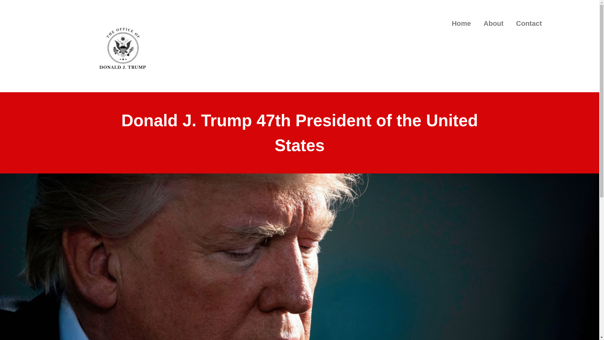 website screenshot of https://official47office.com/