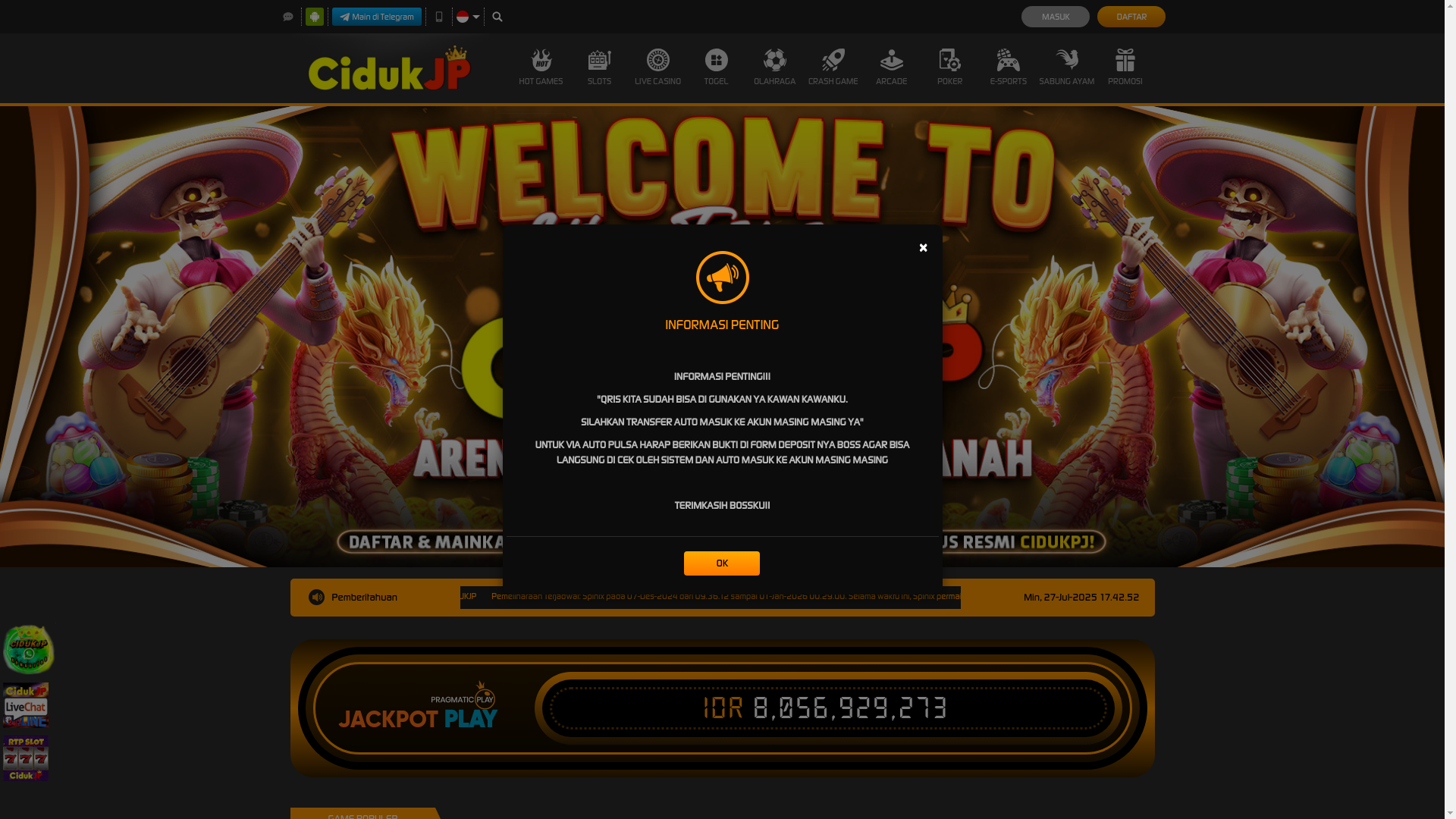 website screenshot of https://cidukjp-website.store/