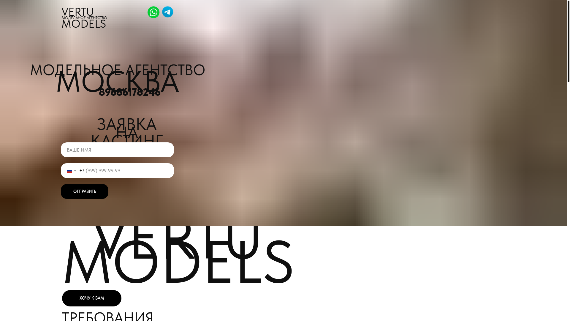 website screenshot of https://vertumodels.ru/