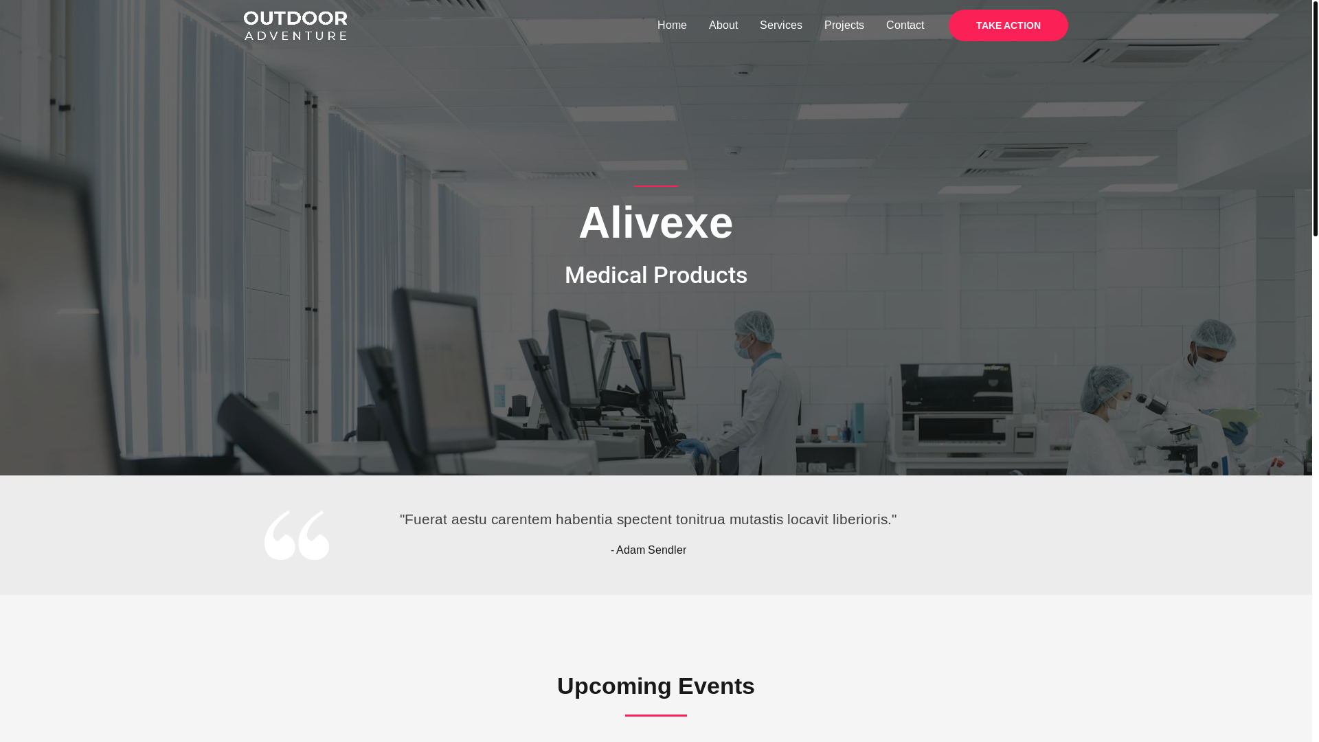 website screenshot of https://alivexe.com/