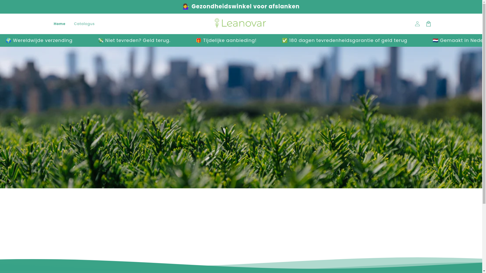 website screenshot of https://leanovar.com/