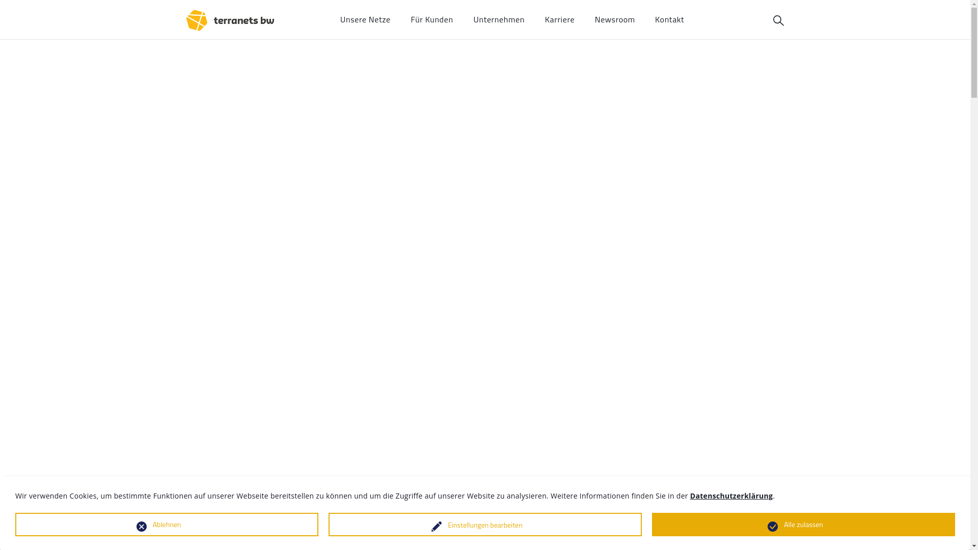website screenshot of https://terranets-bw.de/