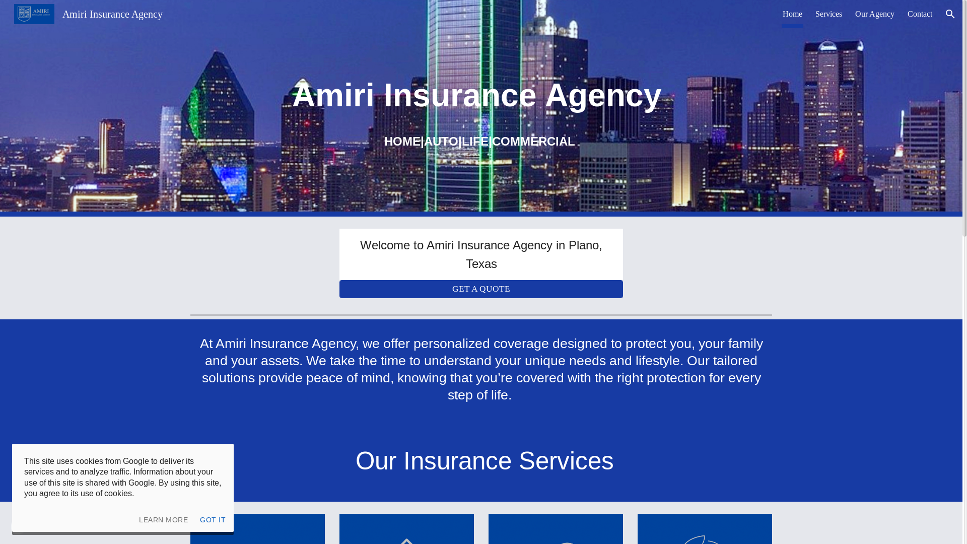 website screenshot of https://bookdavidamiri.com/