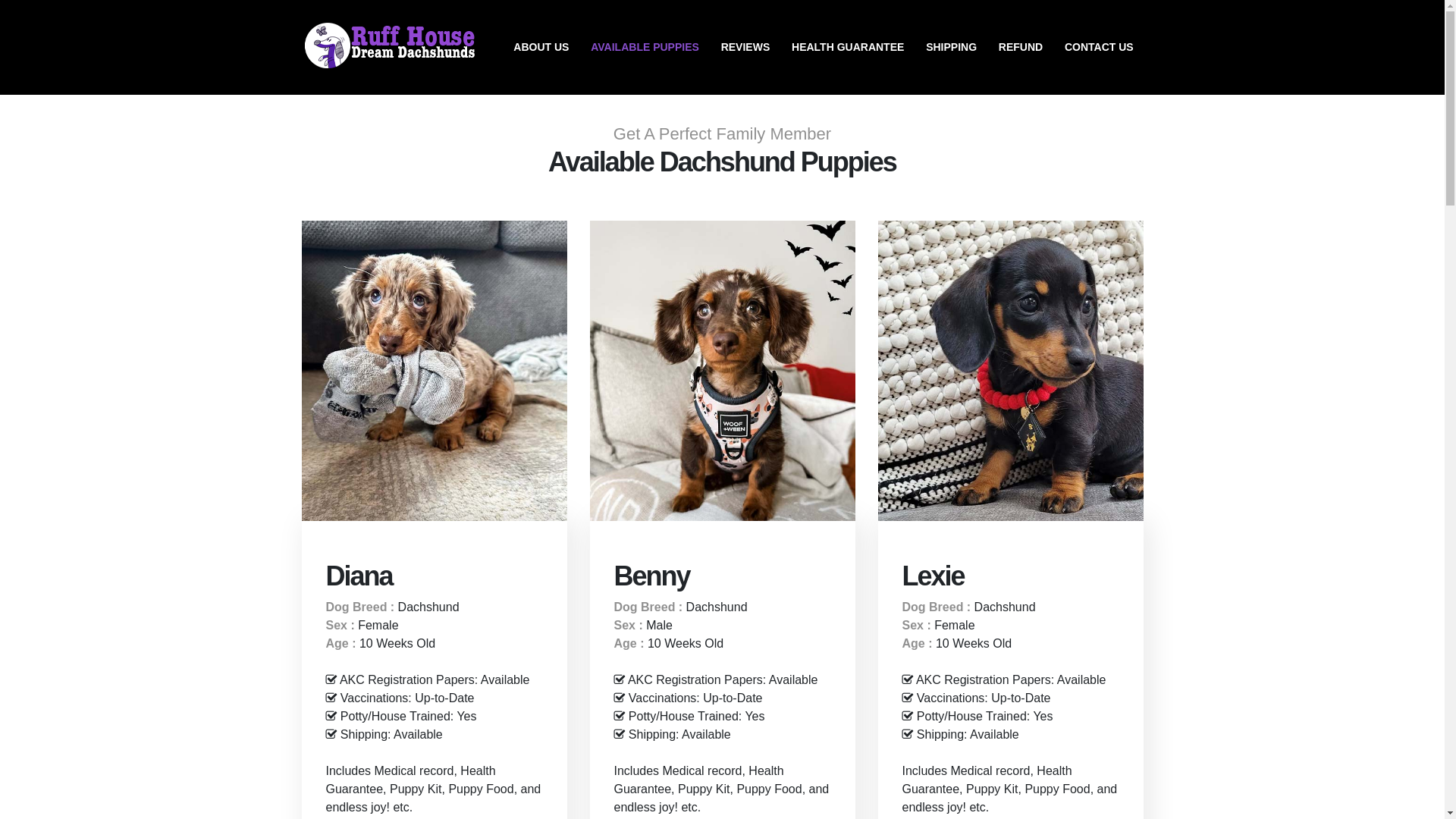 website screenshot of https://ruffhousedreamdachshunds.com/