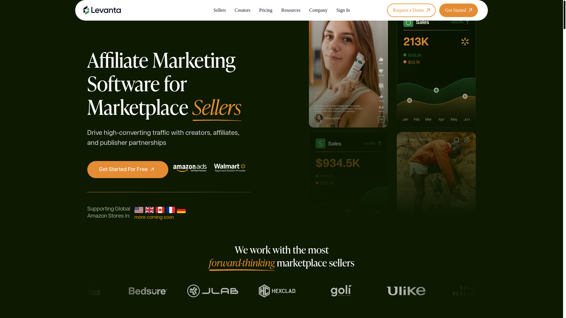 website screenshot of https://accessinglevantasellers.com/