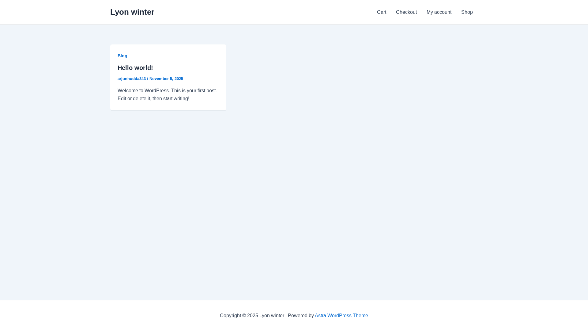 website screenshot of https://lyonwinter.store/