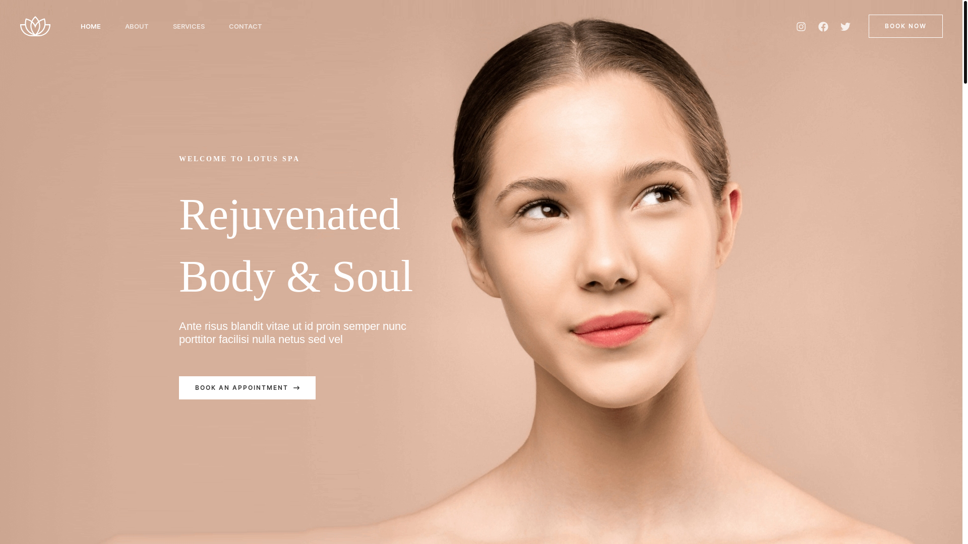 website screenshot of https://curveluxe.fr/