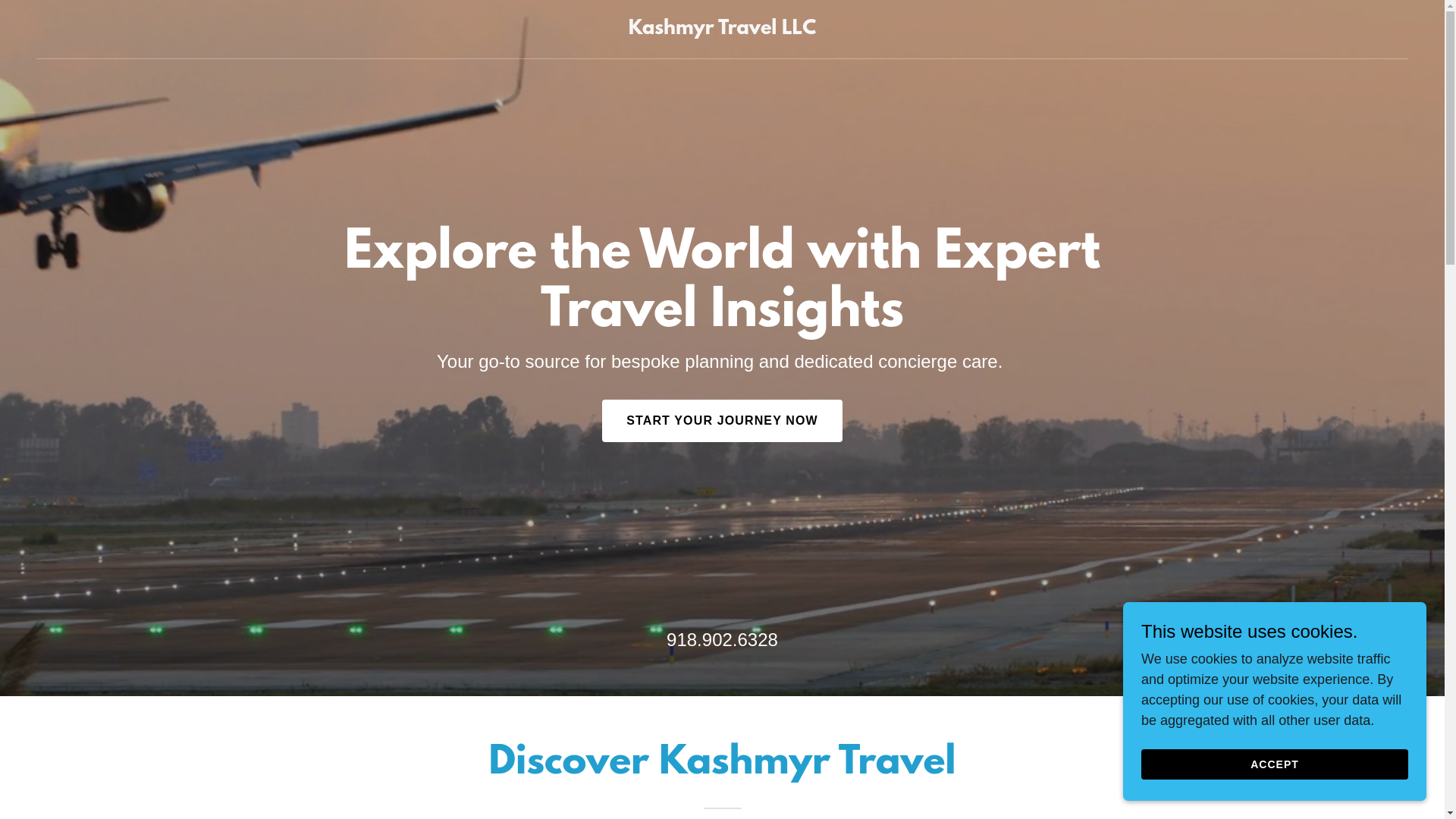 website screenshot of https://kashmyrtravel.com/