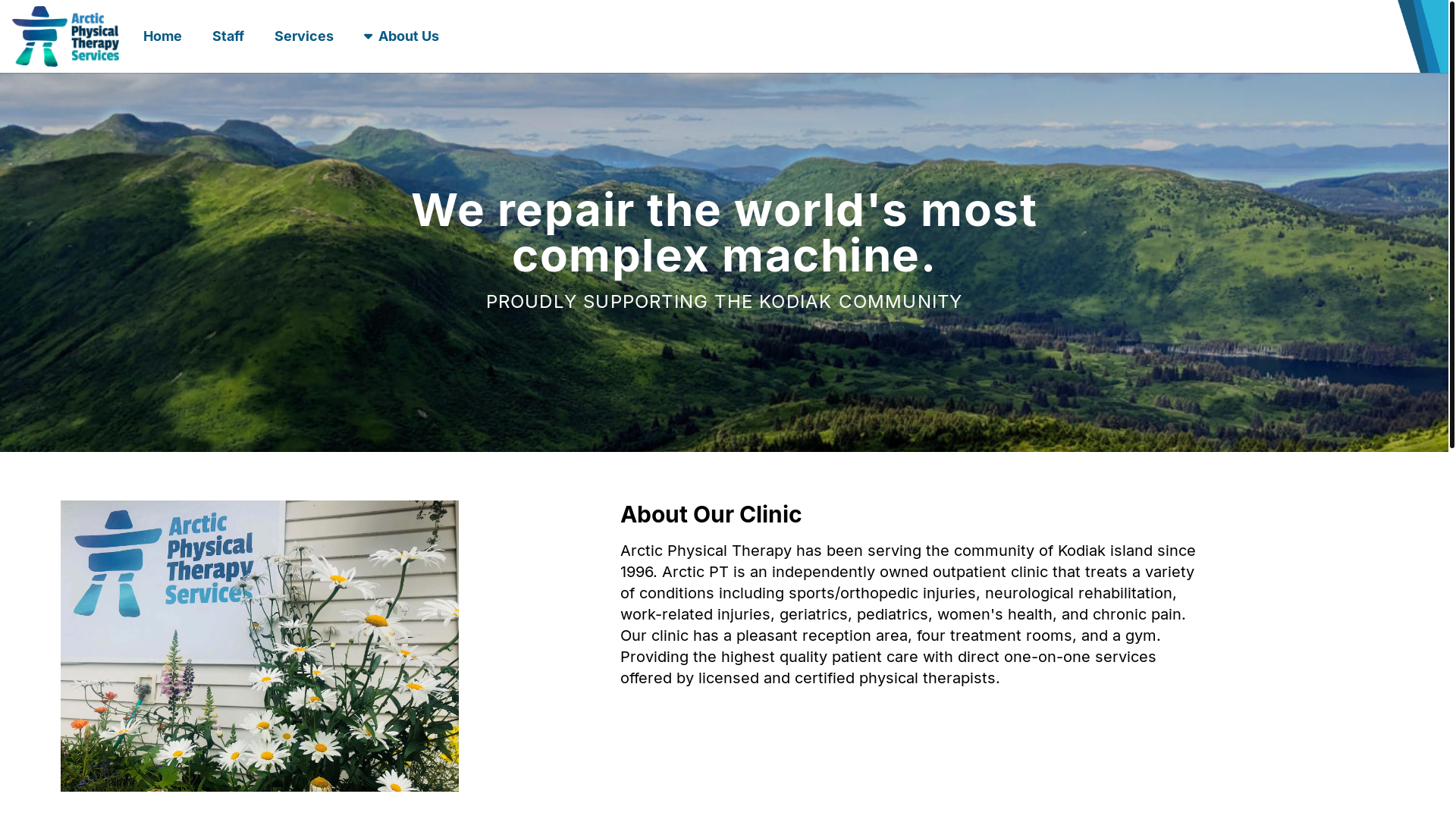 website screenshot of https://arcticpt-c8u.pages.dev/