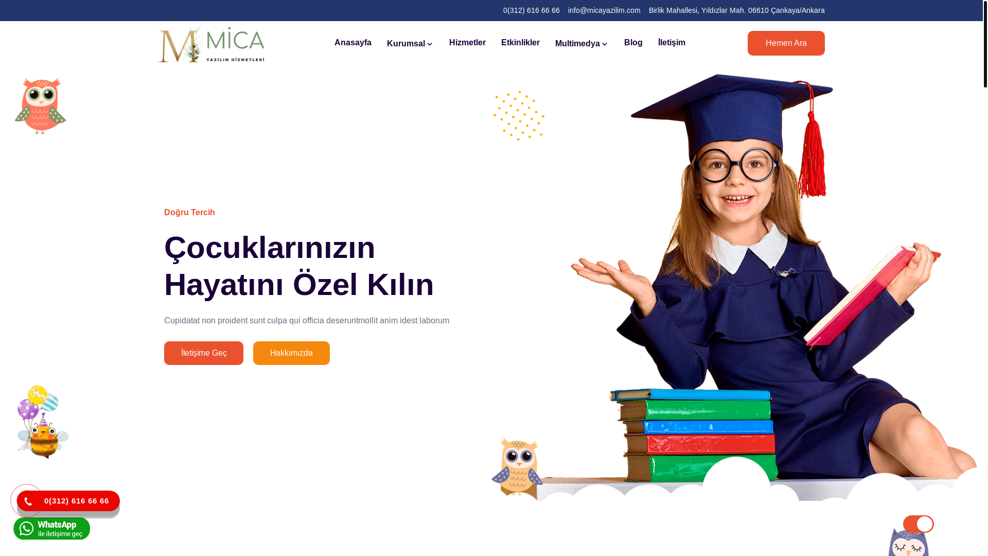 website screenshot of https://norozihinmersin.com.tr/