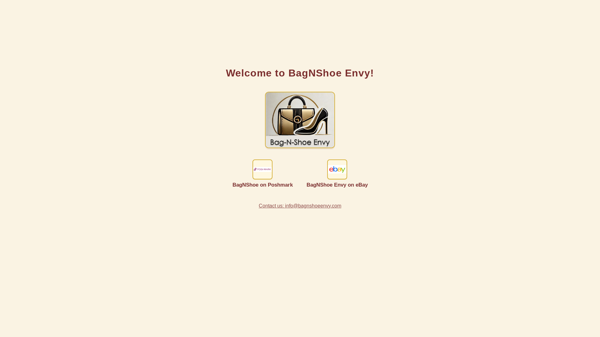website screenshot of http://bagnshoeenvy.com