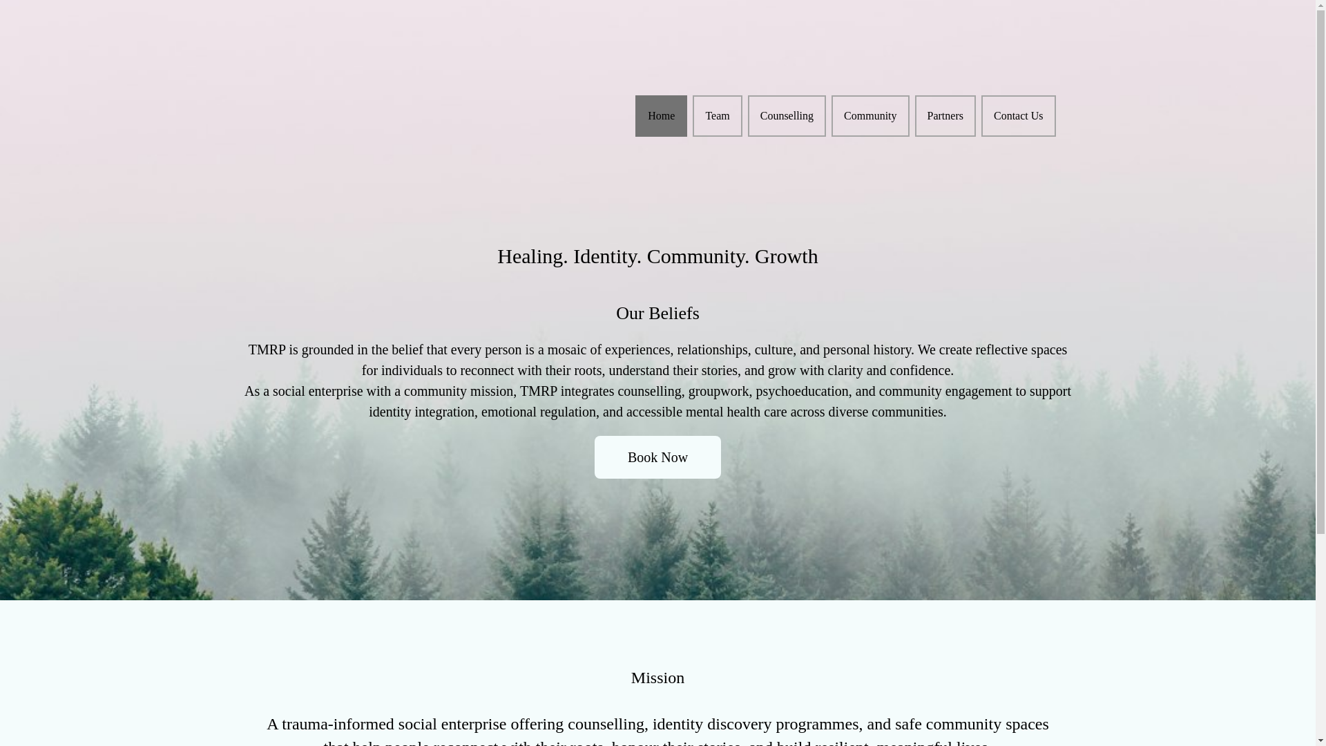 website screenshot of https://themosaicrootsproject.com/