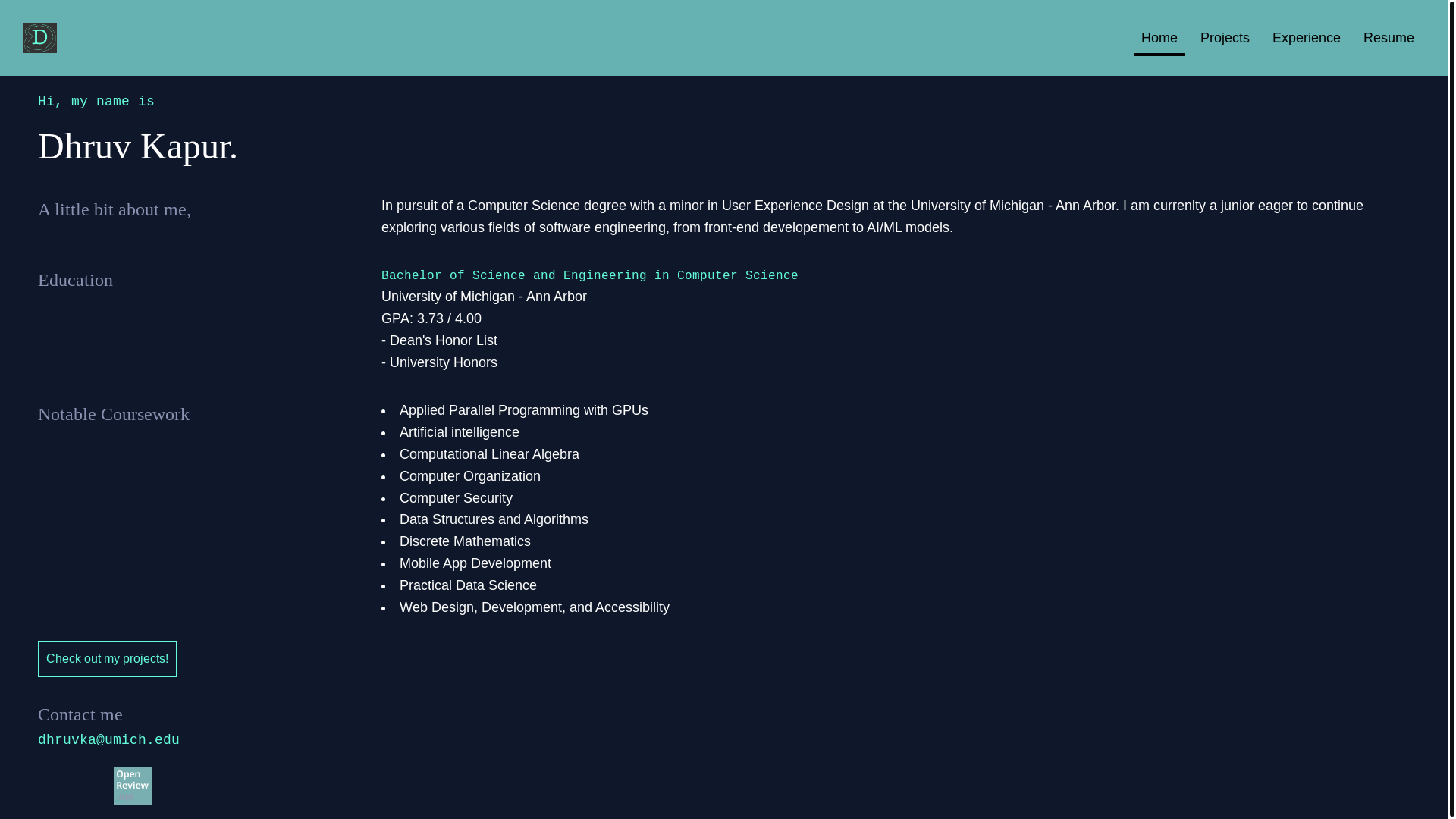 website screenshot of https://dhruvk19.com/