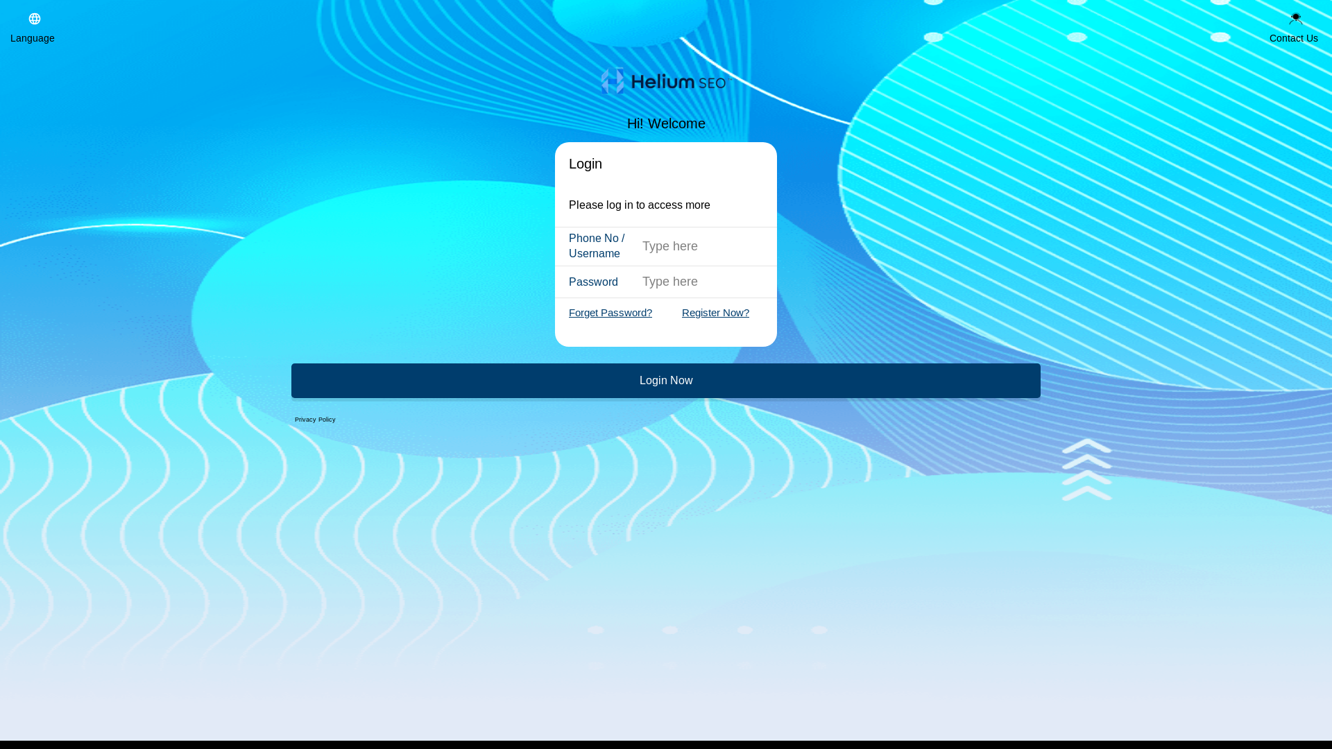 website screenshot of https://helium-seowork.live/