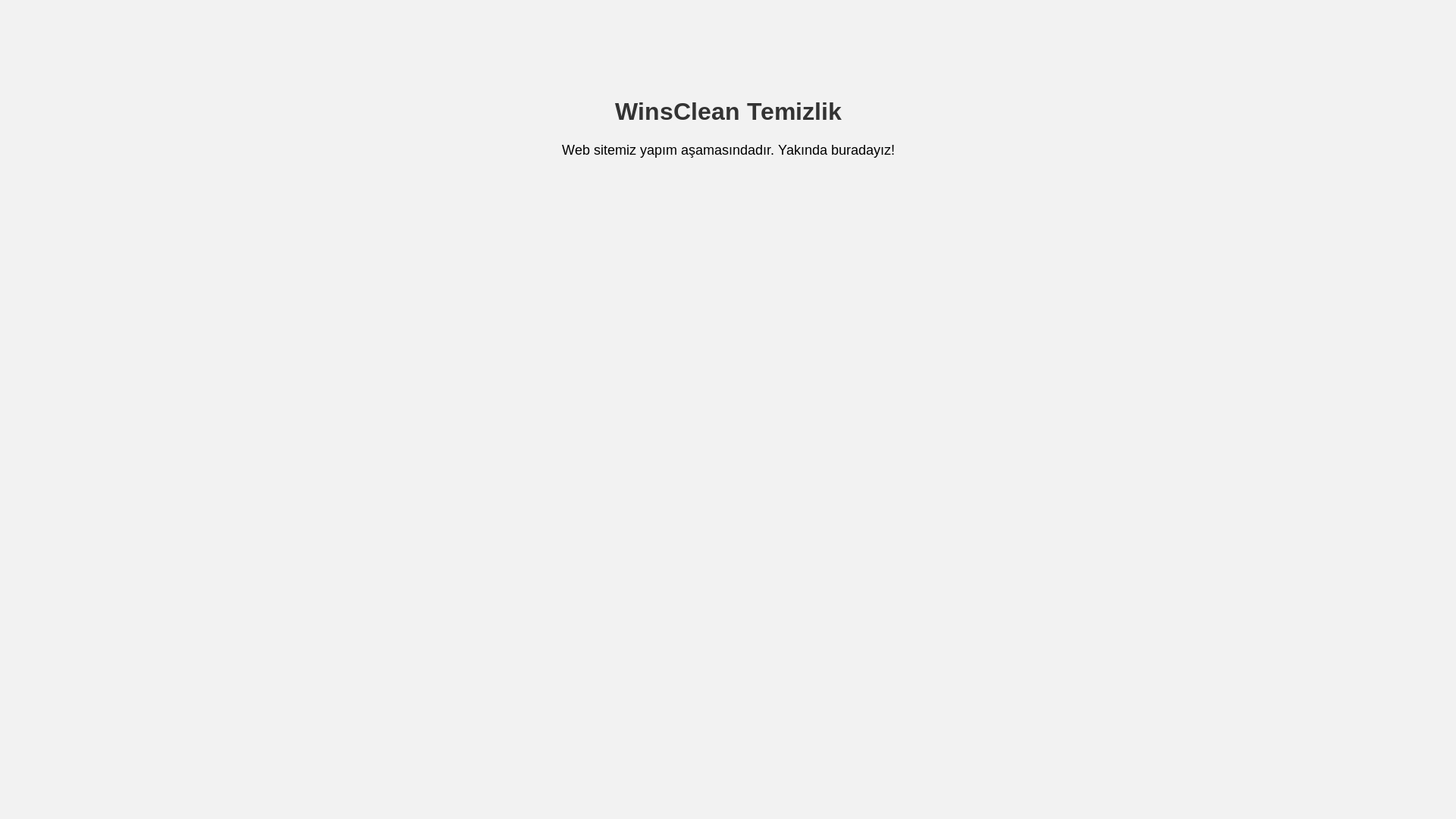 website screenshot of https://winscleantemizlik.com.tr/