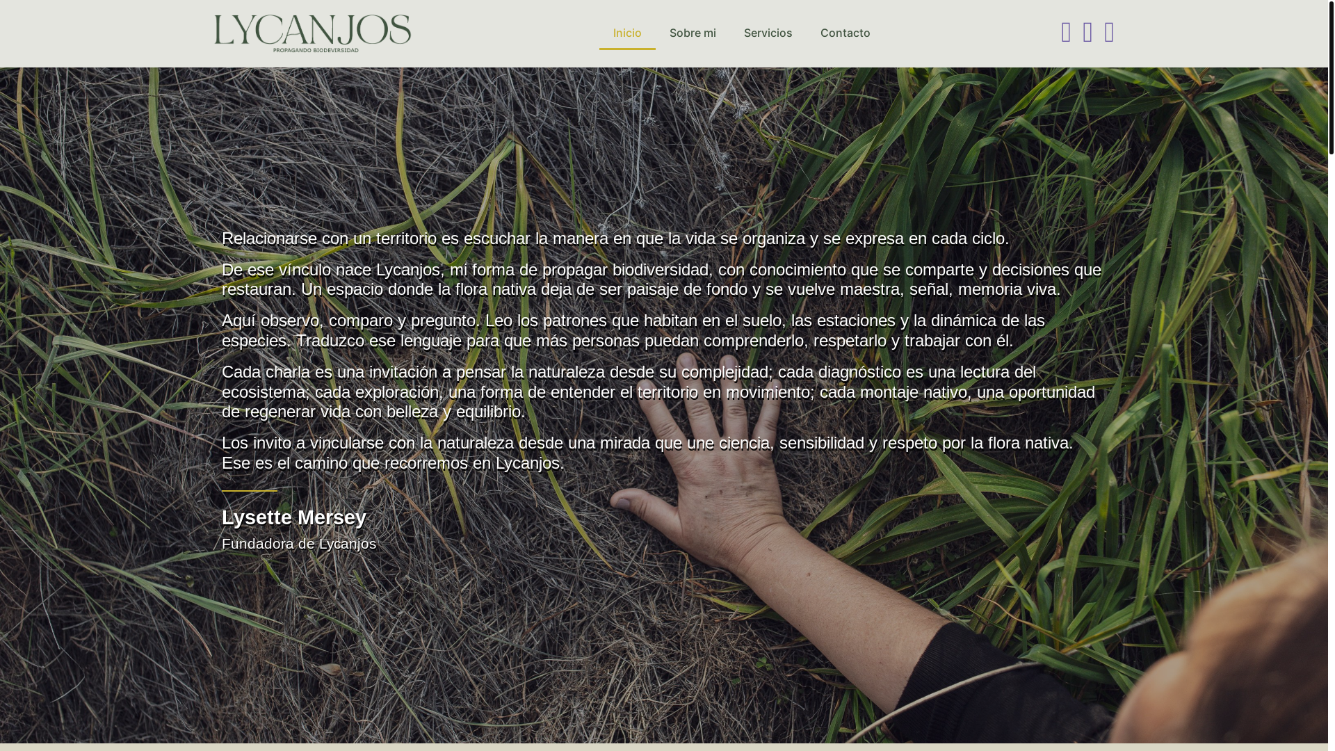 website screenshot of https://lycanjos.cl/