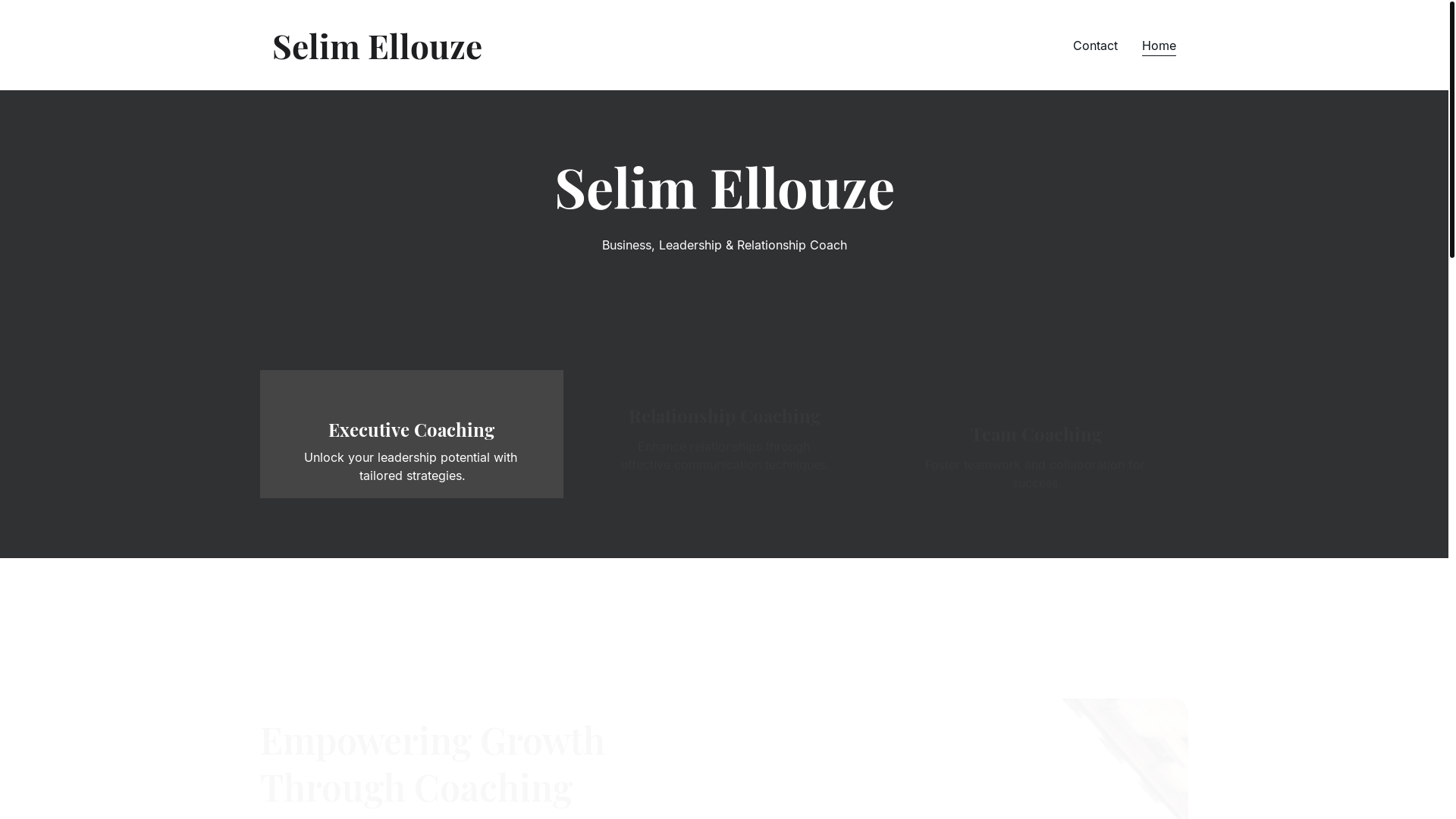 website screenshot of https://selim.coach/