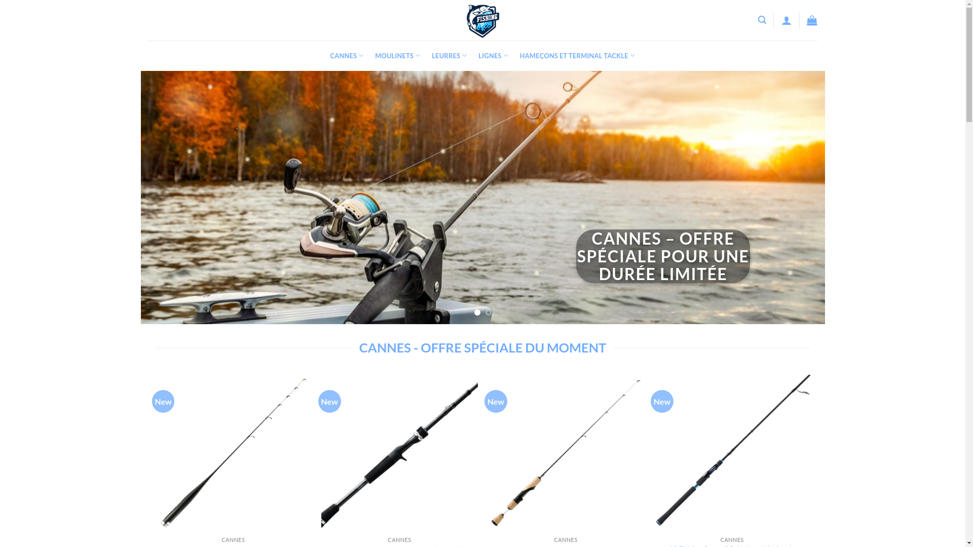 website screenshot of https://aventurepecheshop.com/