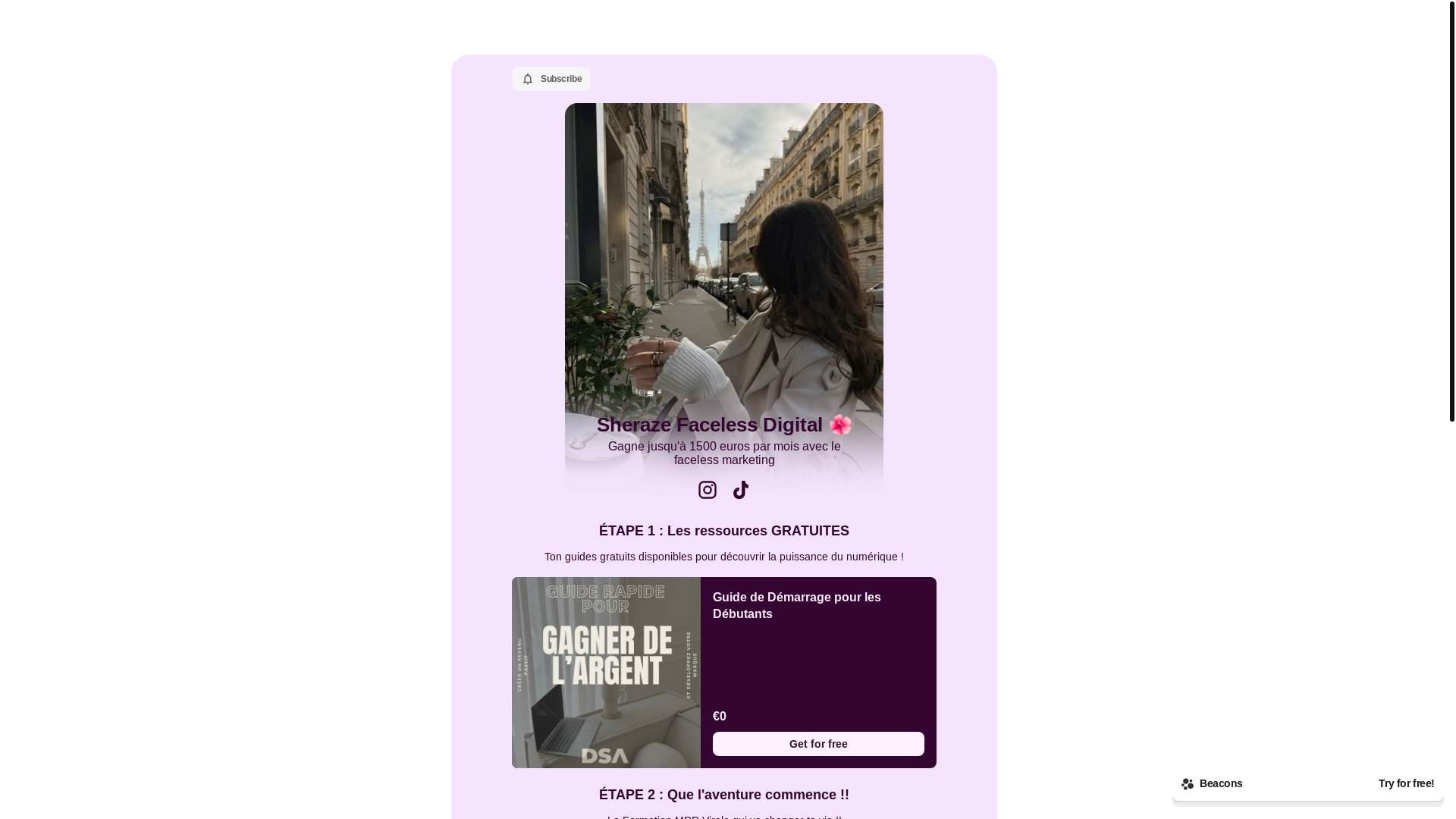 website screenshot of https://sherazefaceless.com/