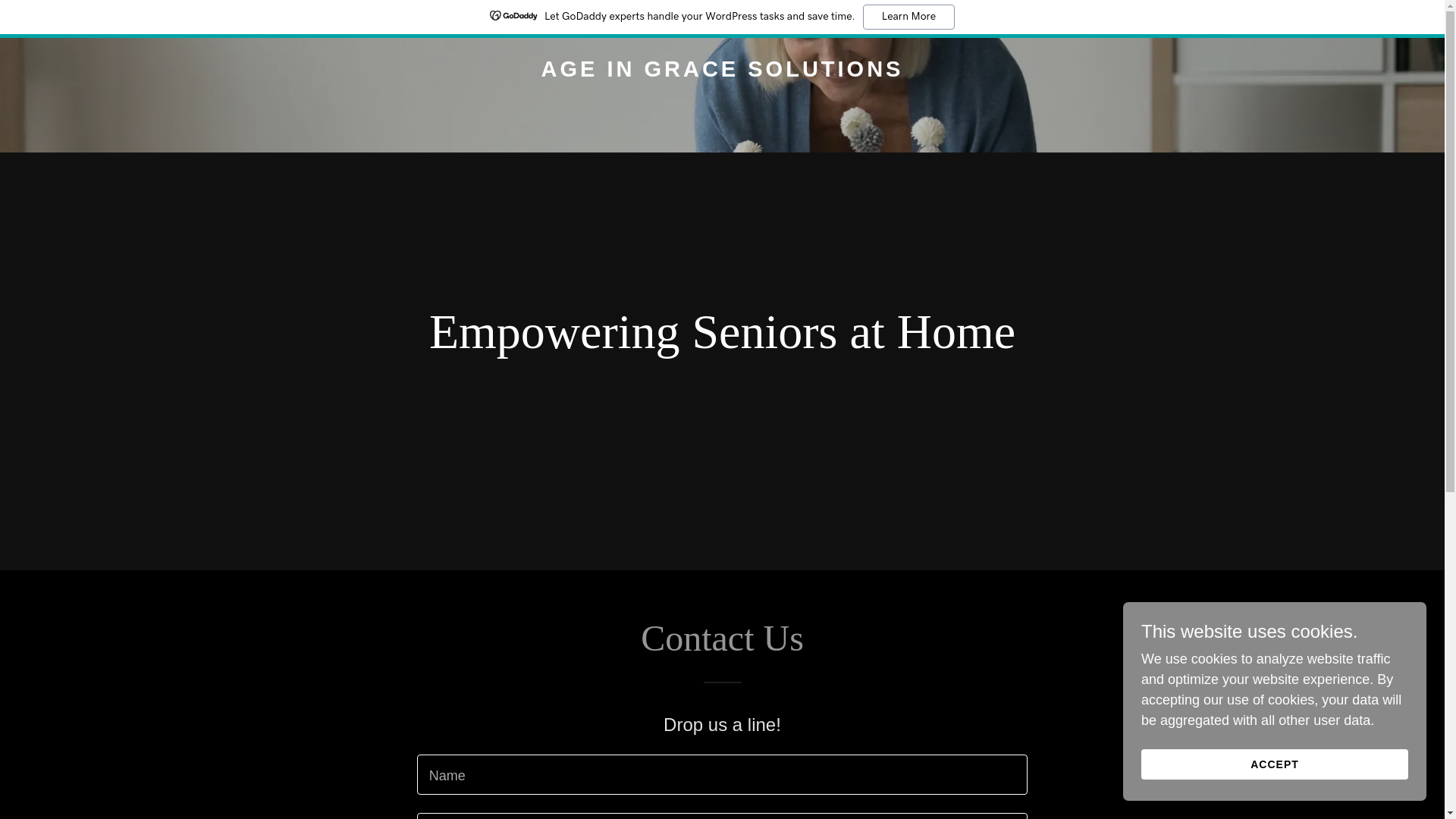 website screenshot of https://ageingracesolutions.com/