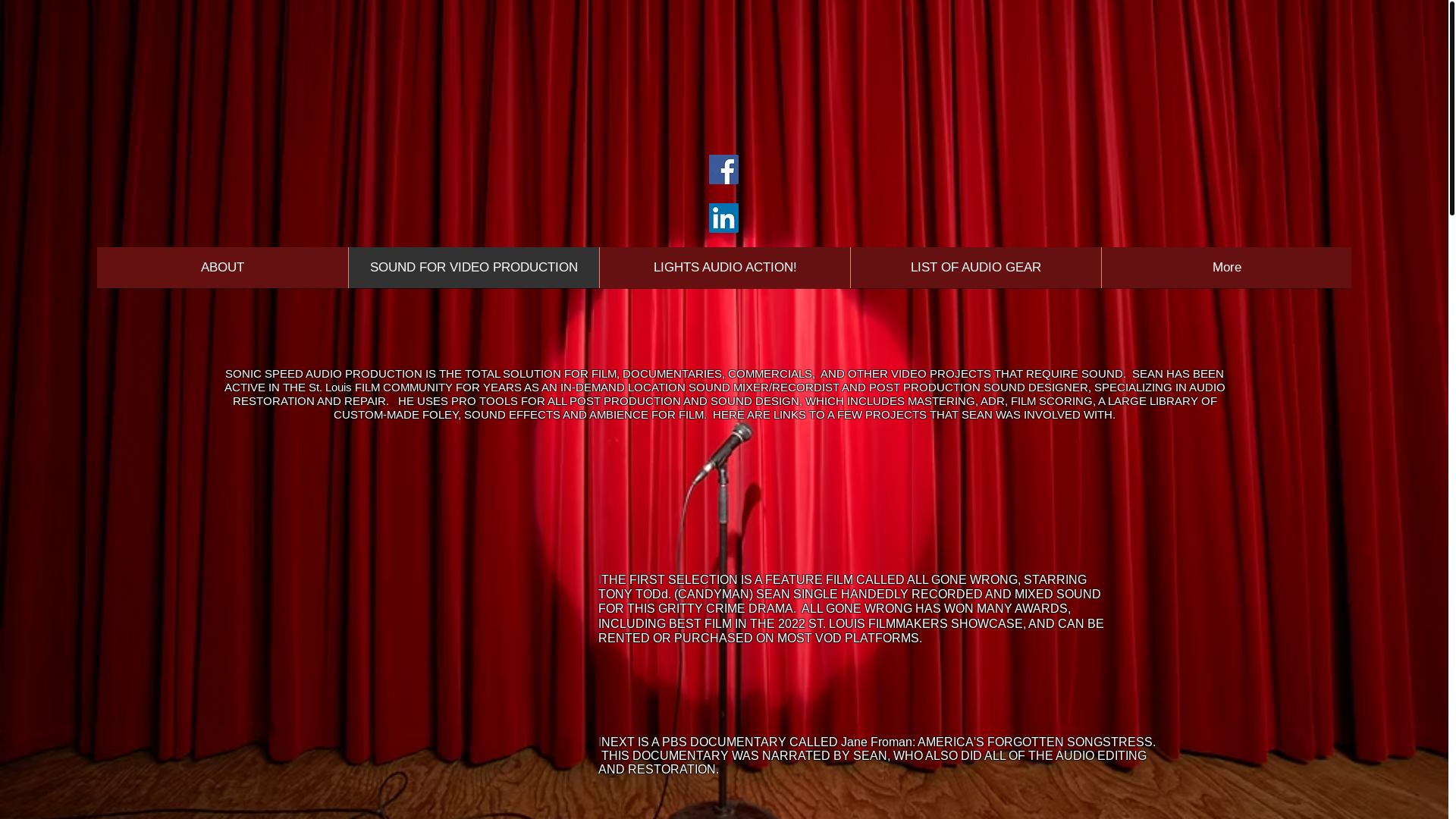 website screenshot of https://sonicspeedaudio.com/