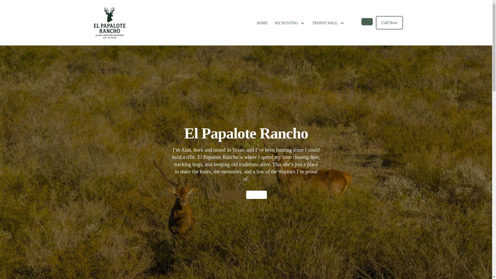 website screenshot of https://elpapaloterancho.com/