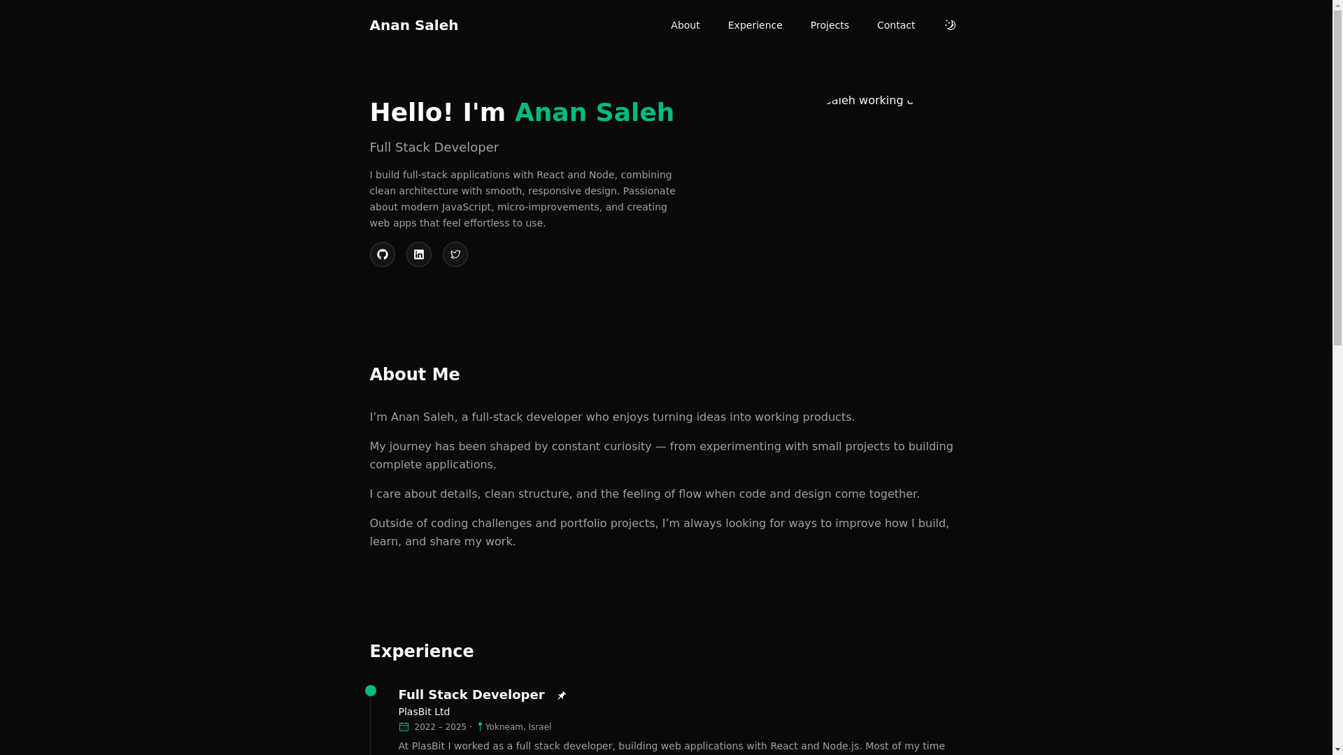 website screenshot of https://anansaleh.com/