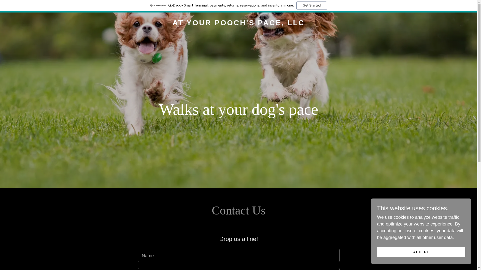 website screenshot of https://atyourpoochspace.com/