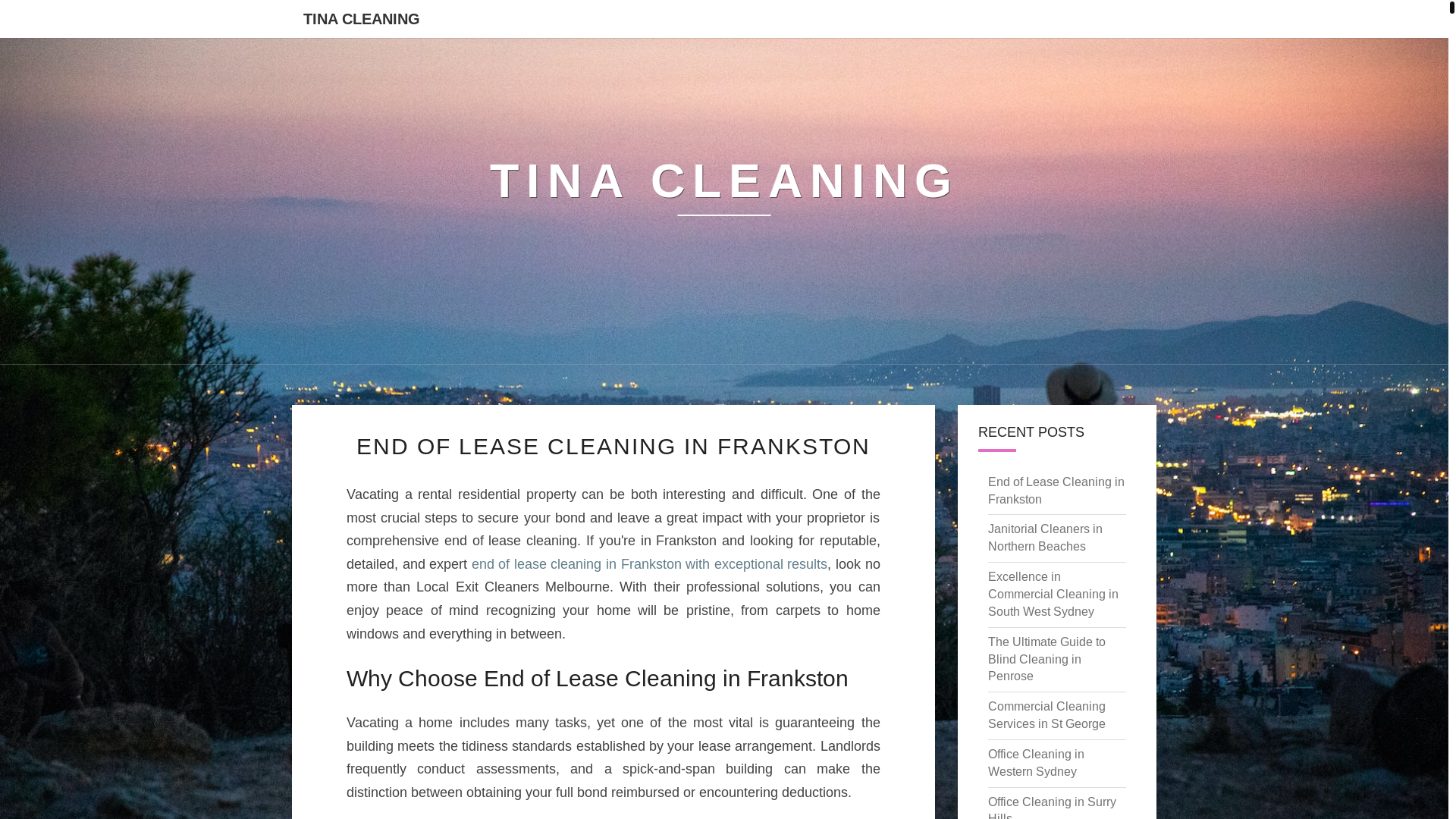 website screenshot of https://tinacleaning.pages.dev/